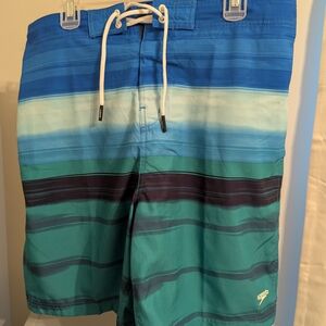 Speedo Men's Blue & Teal Striped Swim Board Shorts